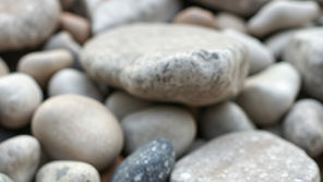 If We are Silent, the Stones will cry out