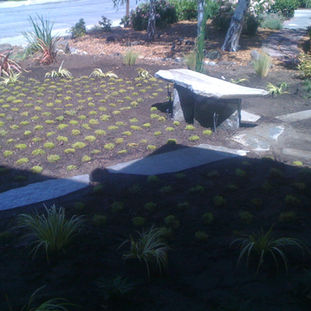 front yard