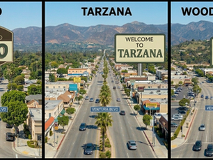 Aerial phot of three neighborhoods flanking Ventura Blvd.