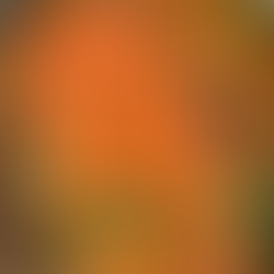 Add the carrots only at the very end and simmer for no more than a minute