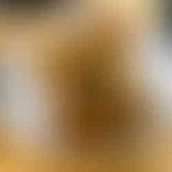 Ensure the roast chicken flavour crisp and tarragon crisp