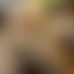 Quick Belgian peperkoek cheesecake