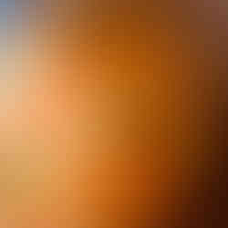 Sauté all the ingredients on a low heat