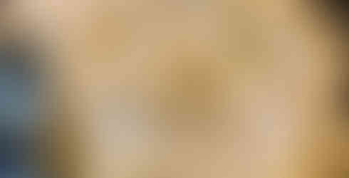 Add the drained pasta back into the reheating sauce on a medium heat