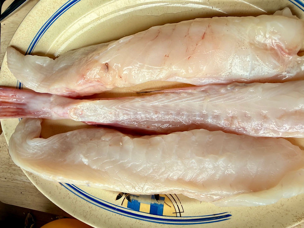 A whole monkfish, cleaned and filleted
