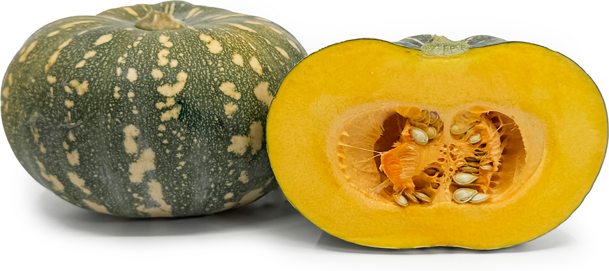Kent or Japanese pumpkin