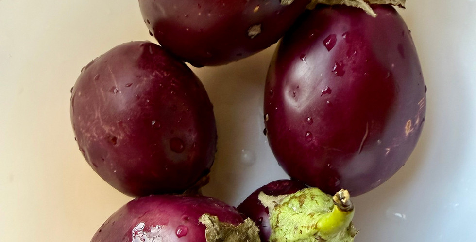 A variety of eggplant favoured in India and the Middle East