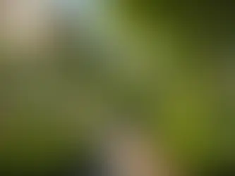 Building Community Through Mindful Practices