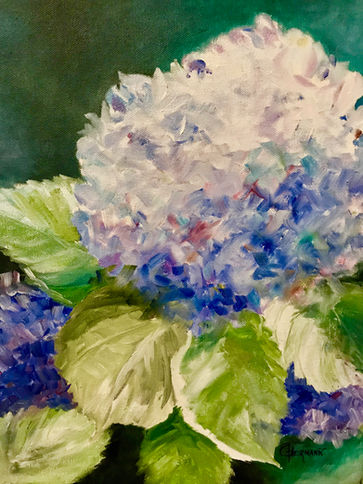 Watercolor of a Hydrangea
