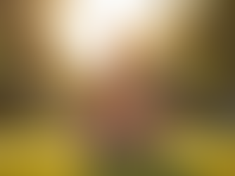 The Benefits of Yoga for Mental and Physical Wellbeing