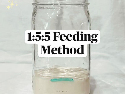 The Hidden Rhythm of Sourdough Fermentation