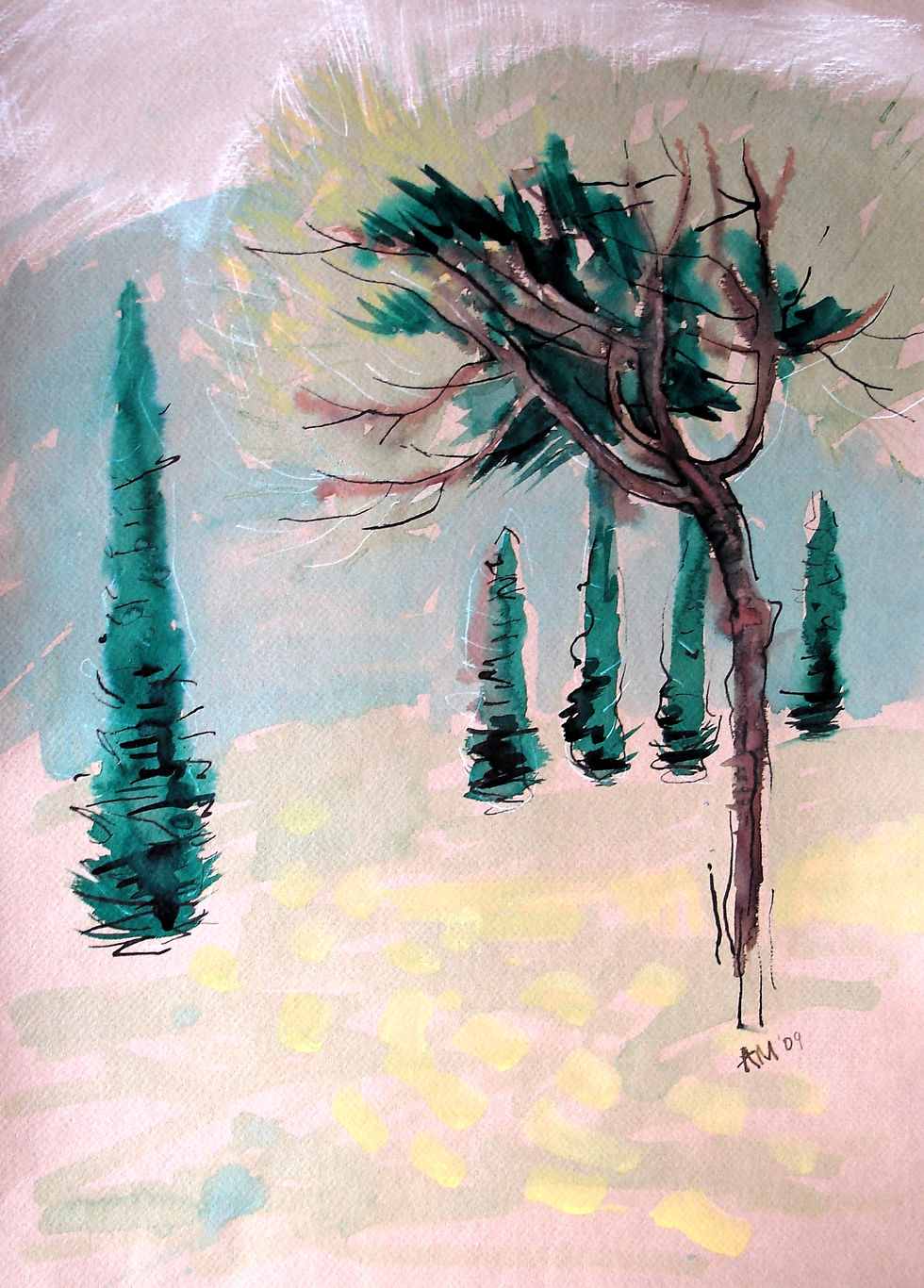 Pine and cypress