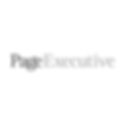 Page Executive