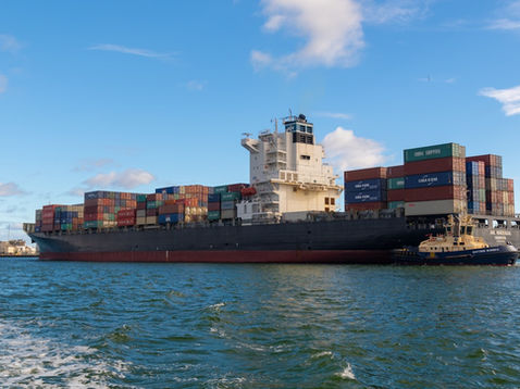 Case Study: Successful Rice Export Strategies with OMSWASTIK