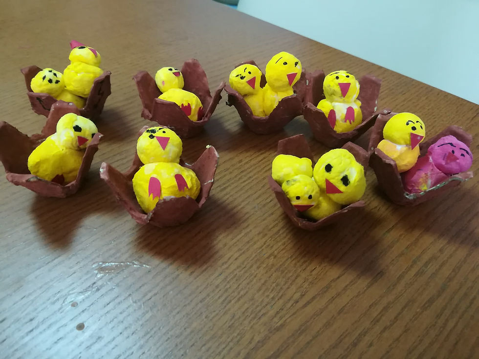 chicks day 21-3-2018 (2)