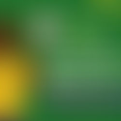 How to Bet on Premier League Matches from Nigeria (Beginner's Guide)