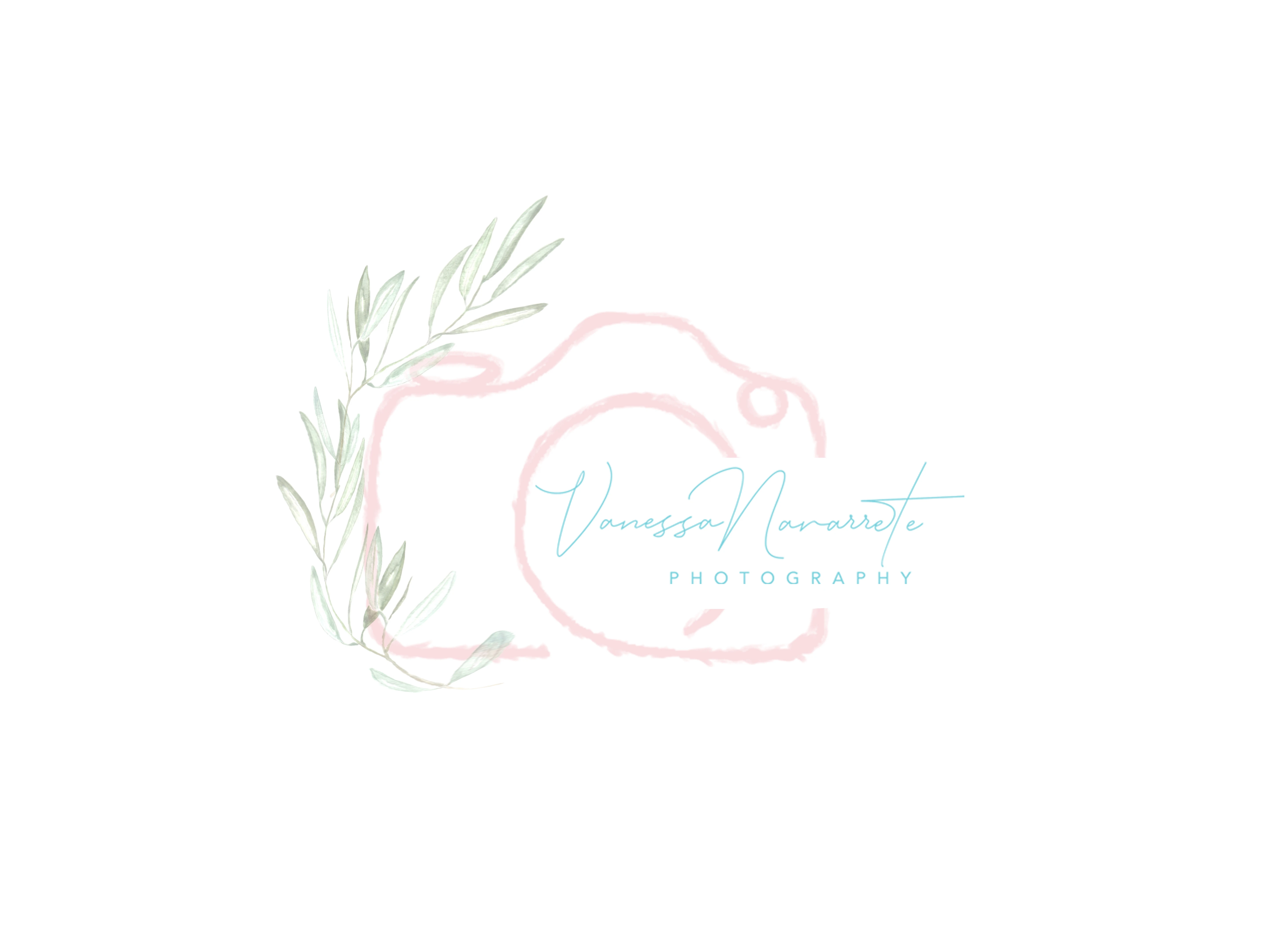 transparent for albums 3.png