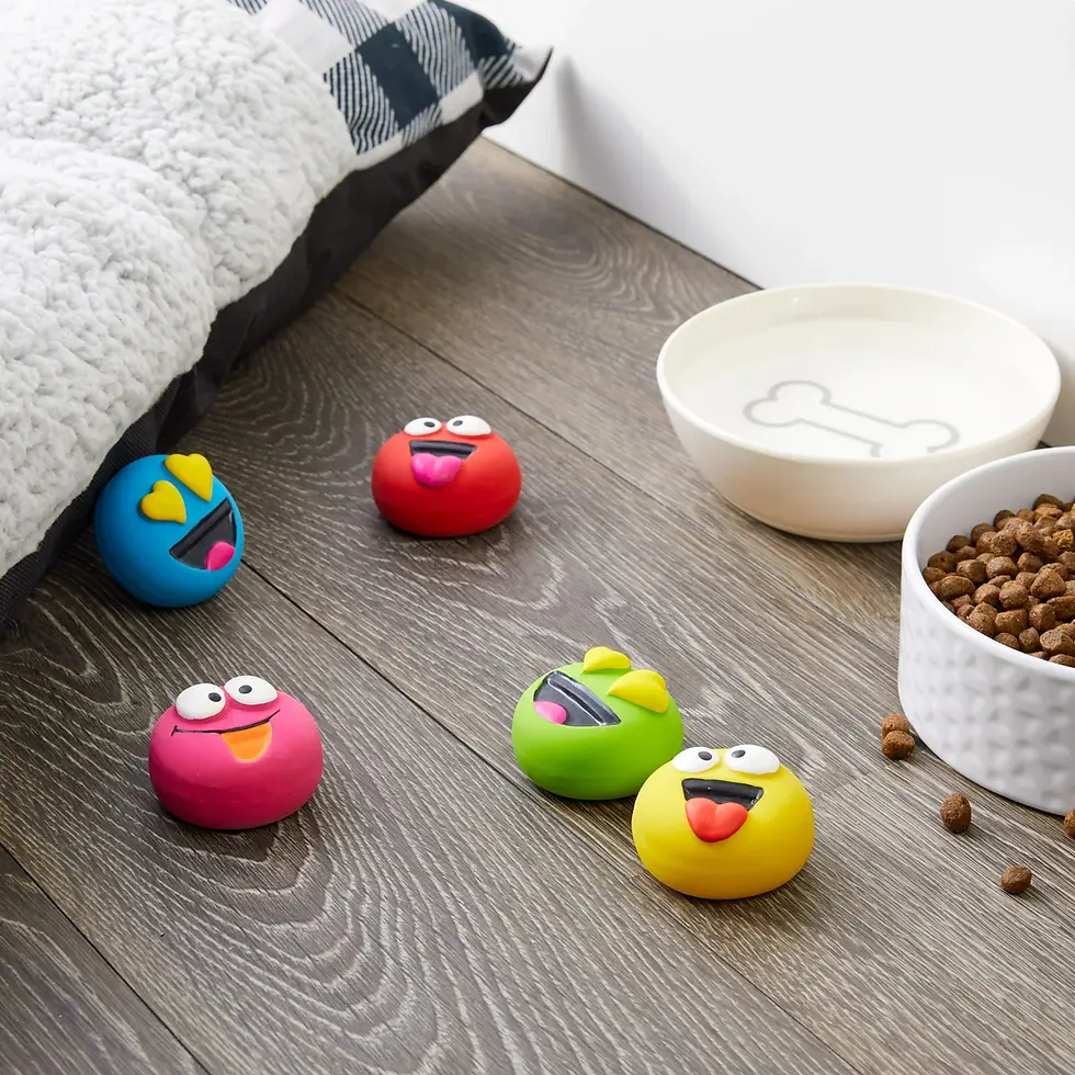 Thumbnail: Different Face Dog Toy Set