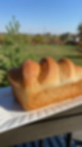 IMG_8135.jpeg