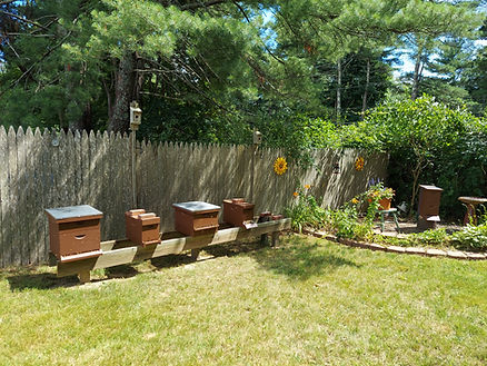 Beehives