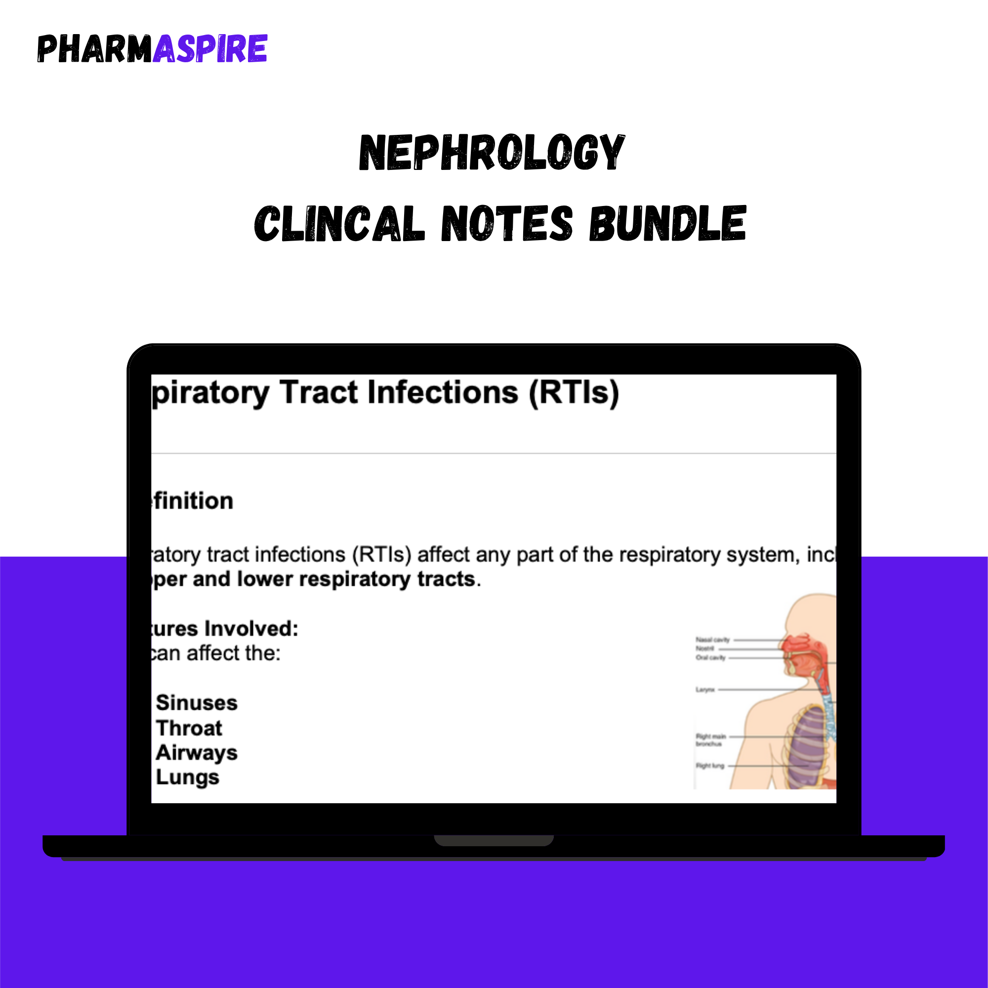 Nephrology Clinical Notes Bundle