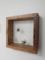 Thumbnail: Air Plant Frame, Small