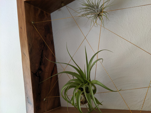 Air Plant Frame, Large | WoodenMetal, LLC