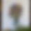 Thumbnail: The Thistle Bouquet K-96 Cross Stitch Kit Merejka