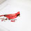 Thumbnail: Cardinal Bird Cross Stitch Kit