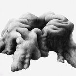 Sans titre, Série Bryophyta, 2021, fusain sur papier, 50 x 70 cm