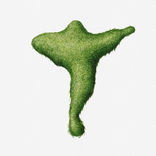 Série Crusifix, étape 1 à 14, 2021, 2022, aquarelle sur papier, 30 x 24 cm