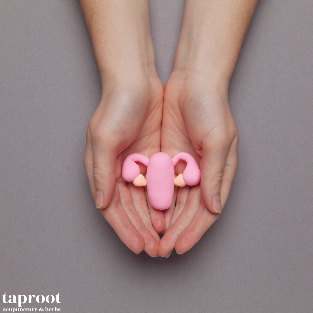 Thin uterine lining fertility acupuncture & herbs can help