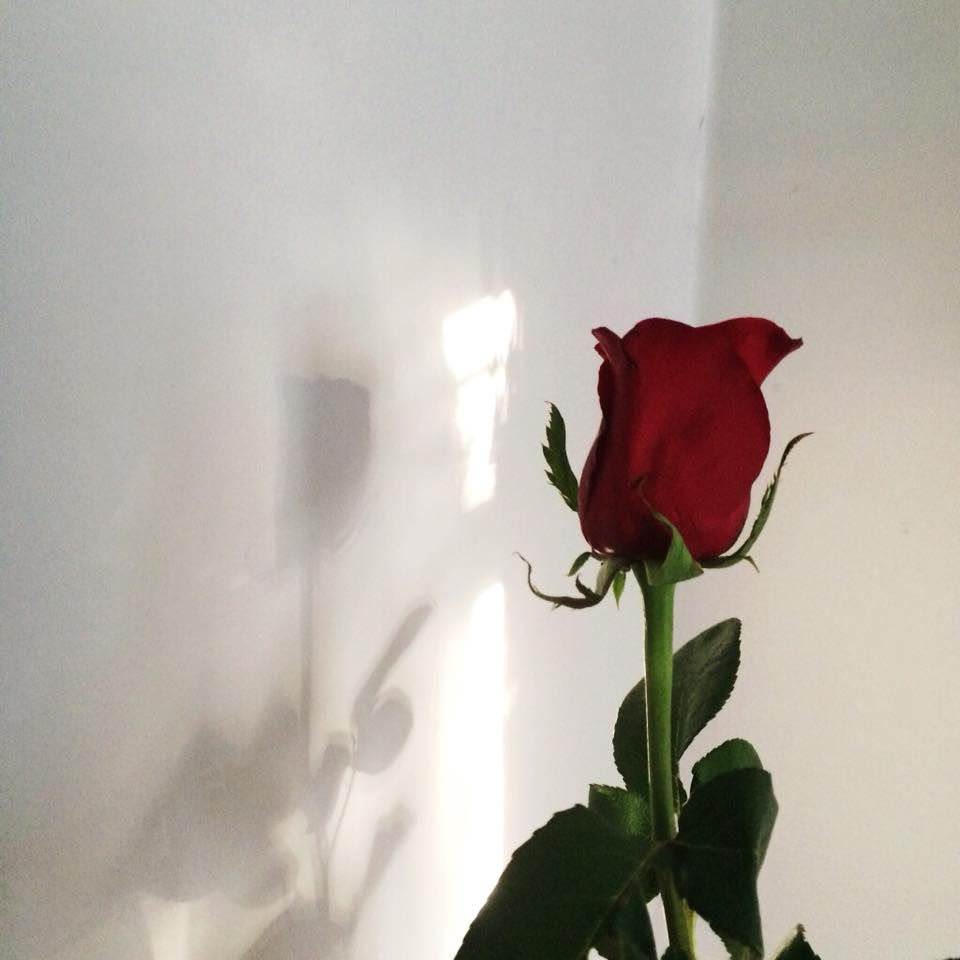 Acts of Self love