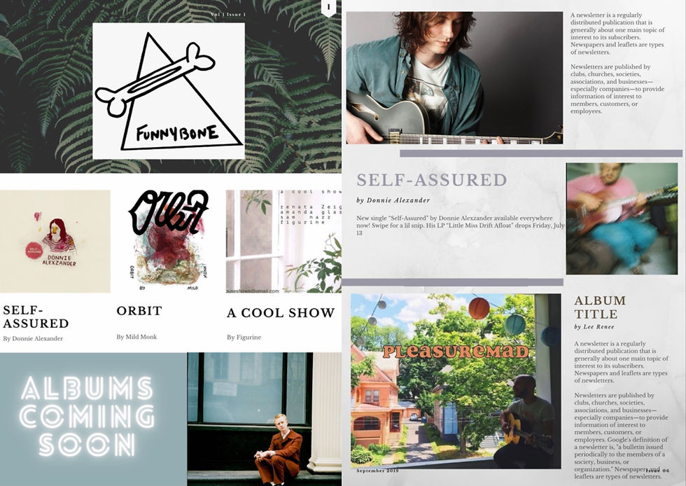 Digital Content & Newsletters