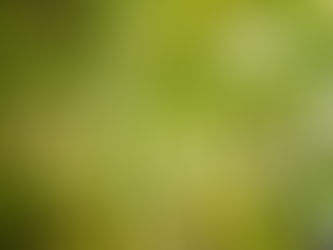 Environnement : Plus que jamais, le temps de la responsabilité et de l’action est venu !