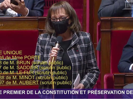Le Gouvernement se paie de mots pour se donner une image écologiste