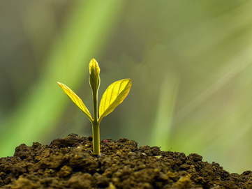 6 Reasons Flexible Spaces are Perfect for Startups