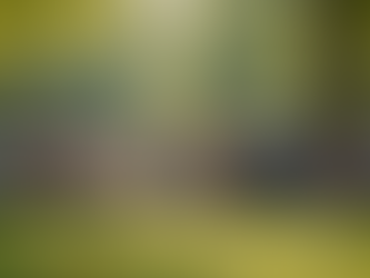 Join Anya Lorde: Support Community-Driven Leadership