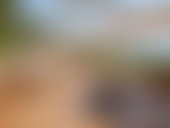 Mallorca Terrassen - Holzfussböden und Holzmöbeln