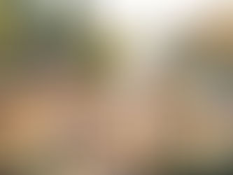 a day in the life of the Coast Miwok