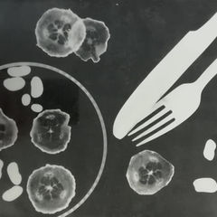 Diner for one (2) Fotogramm auf Chamois Papier, 18x24 60 Euro