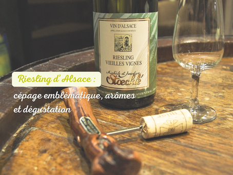 Elsässer Riesling: Rebsorte, Aromen und Verkostung