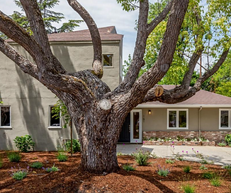 161 Walter Hays Dr Palo Alto CA Maggie Ma