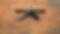 Untitled - July 23, 2026 at 15.06.48 (2).png