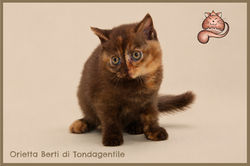 Orietta Berti di Tondagentile