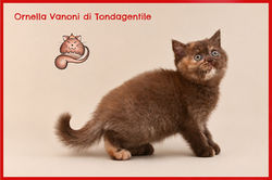 Ornella Vanoni di Tondagentile