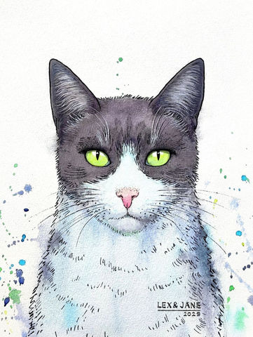 Expressive drawing of stray cat Betty by Lex & Jane, created using mixed media techniques.