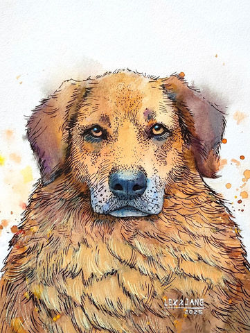 Mixed media portrait on paper of the stray dog Rusty by art duo Lex & Jane.