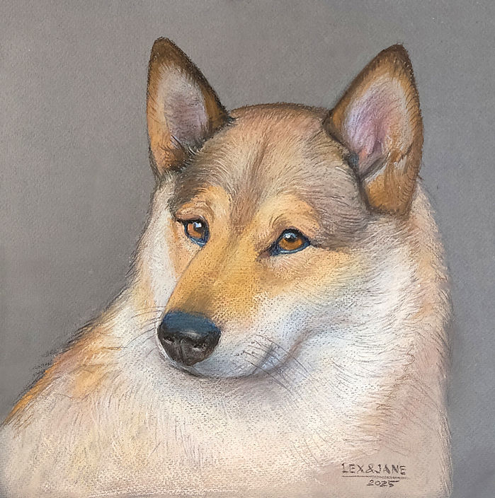 Pastel drawing of a dog