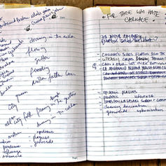 Lyric book image for The PepTides song “For Those Who Hate Carnage” from For Those Who Hate Human Interaction, photography by Claude Marquis
